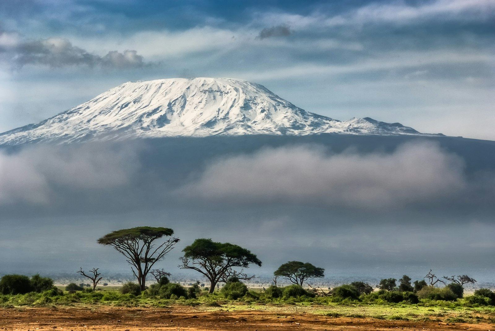 Mount Kilimanjaro rising above acacia trees at sunrise — journeys planned end to end
