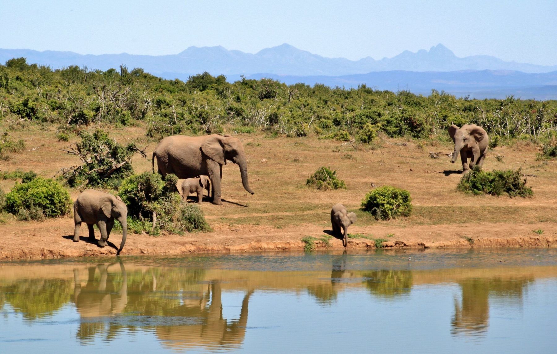 Safari values at SAFW Travel