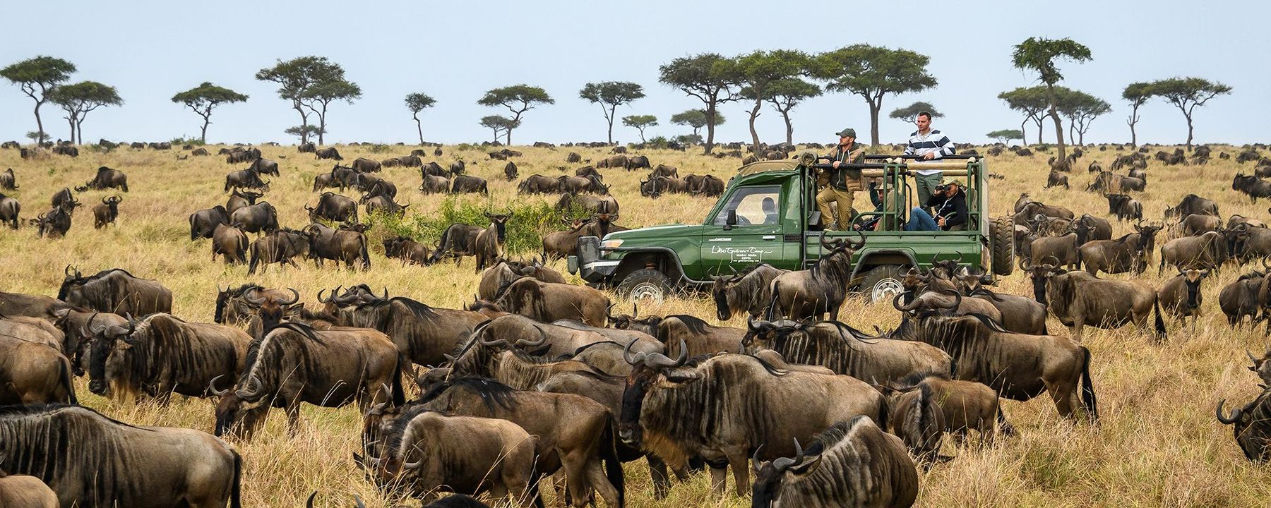 Safari guide